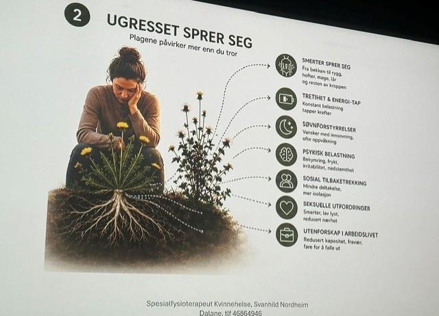 Fagdag - Klikk for stort bilde